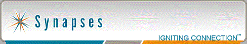 Synapses Inc.